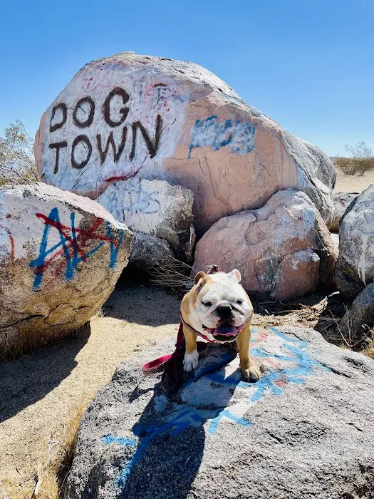 Palmdale Veterinary Hospital Picture 10