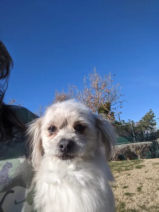 Animal Medical Center of The Antelope Valley Picture 1