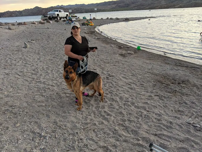 Animal Medical Center of The Antelope Valley Picture 7