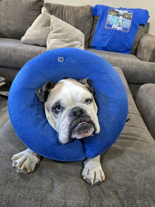 Antelope Valley Animal Hospital Picture 2
