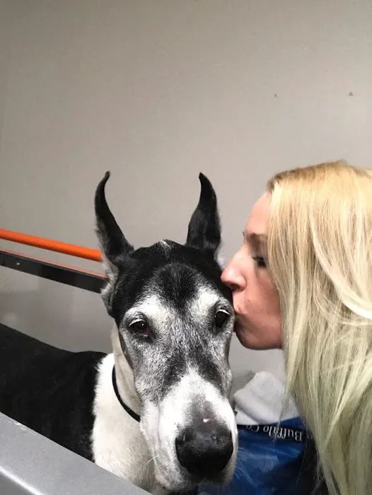 Zen Den Animal Wellness & Rehabilitation Picture 9
