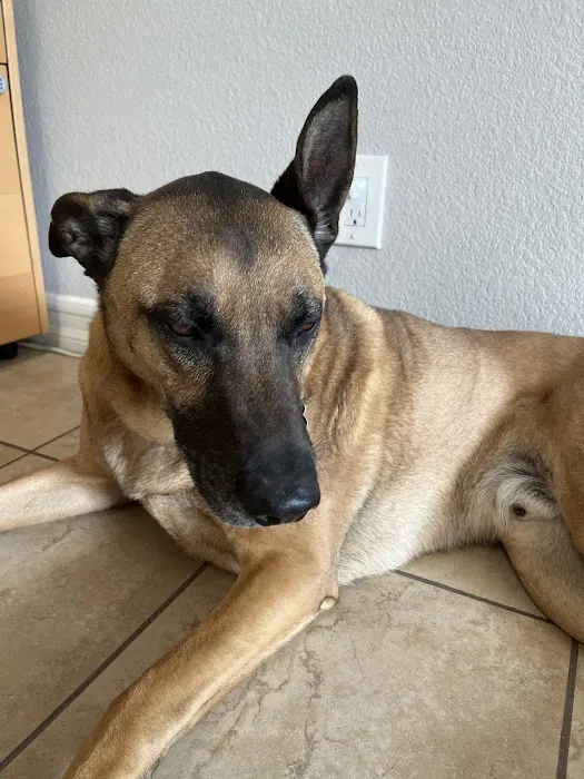 Quartz Hill Veterinary Picture 4
