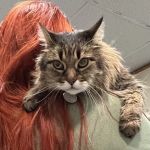 Quartz Hill Veterinary