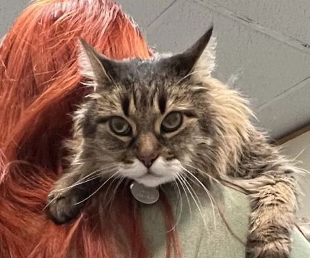 Quartz Hill Veterinary