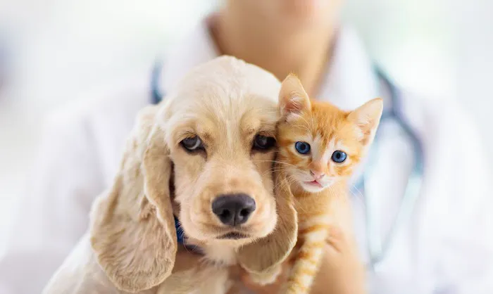 Quartz Hill Veterinary Picture 6