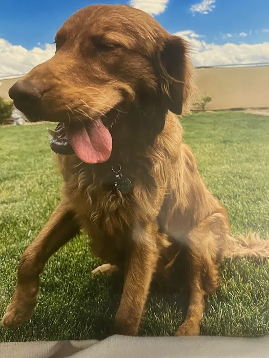 Quartz Hill Veterinary Picture 9