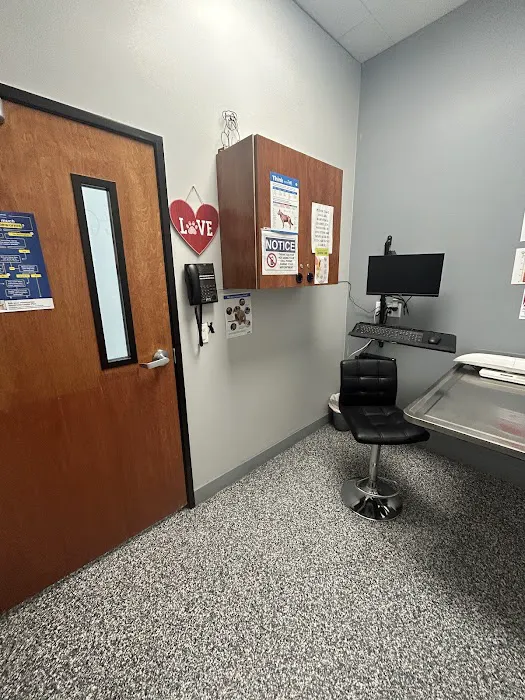 911 Vet Care Picture 2