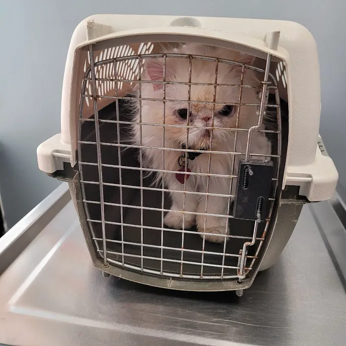 911 Vet Care Picture 10