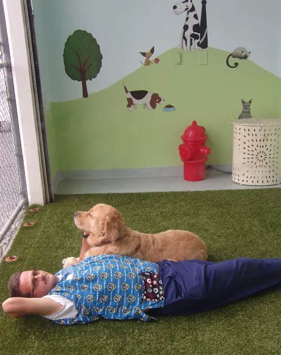 Plaza Del Amo Animal Hospital & Pet Keeper Picture 10