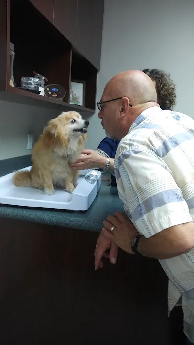 VCA Pacific Veterinary Center Picture 1