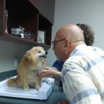 VCA Pacific Veterinary Center