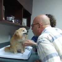 VCA Pacific Veterinary Center ico