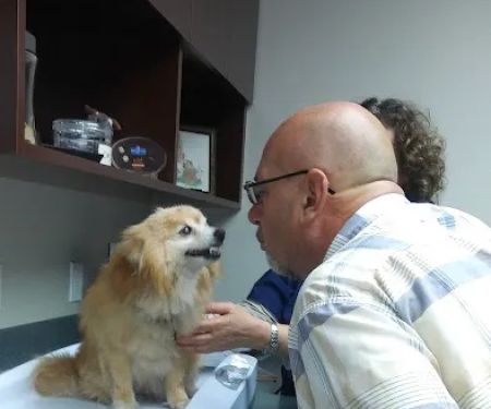 VCA Pacific Veterinary Center