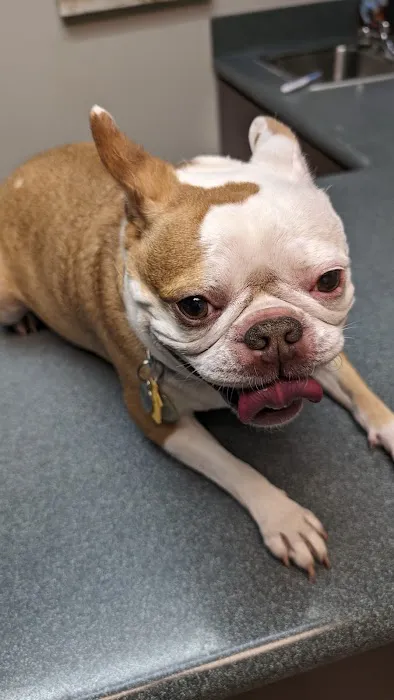 VCA Pacific Veterinary Center Picture 10