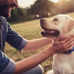 Echo Vet Cardio