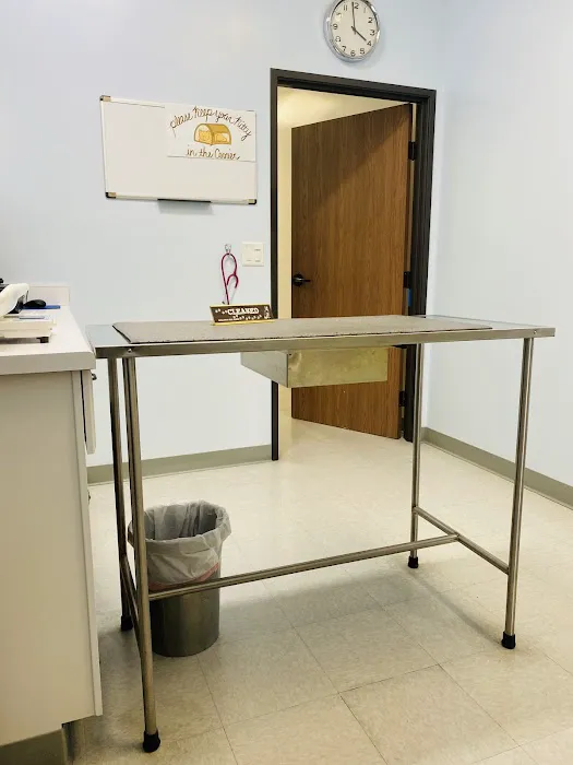 Galloway Cat Clinic Picture 4