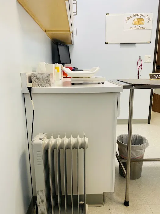 Galloway Cat Clinic Picture 6
