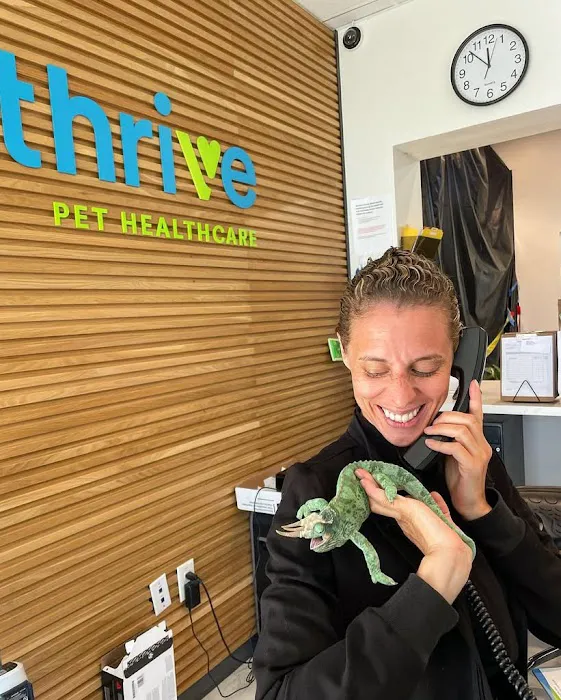 Thrive Pet Healthcare Urgent Care – Torrance Picture 4