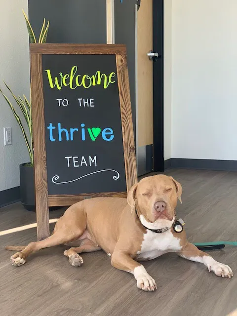 Thrive Pet Healthcare Urgent Care – Torrance Picture 10