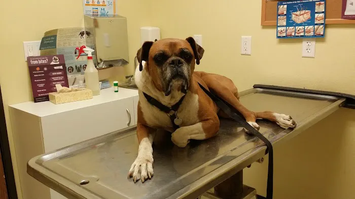 Monterey Park Animal Hospital Picture 9