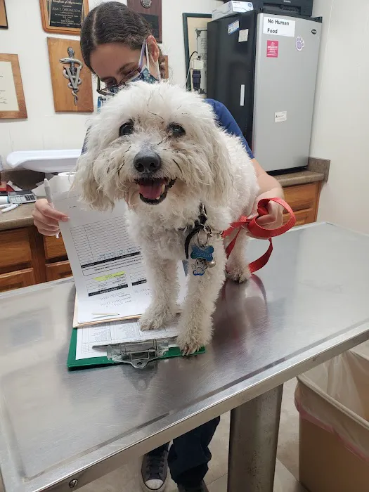 Montebello Veterinary Hospital Picture 6