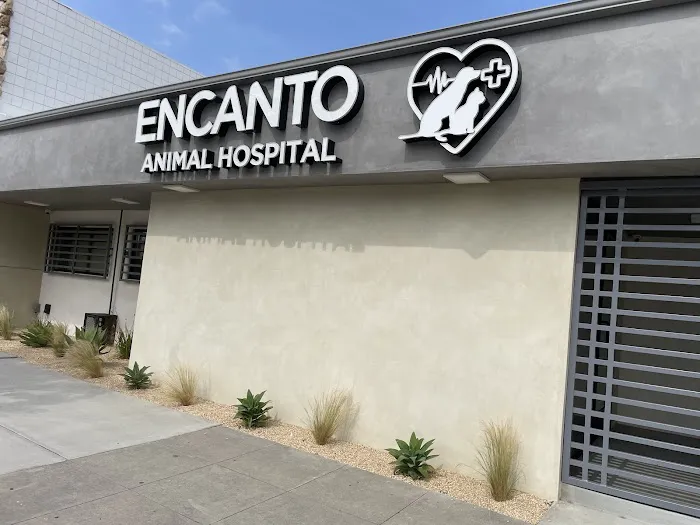 Encanto Animal Hospital Picture 8