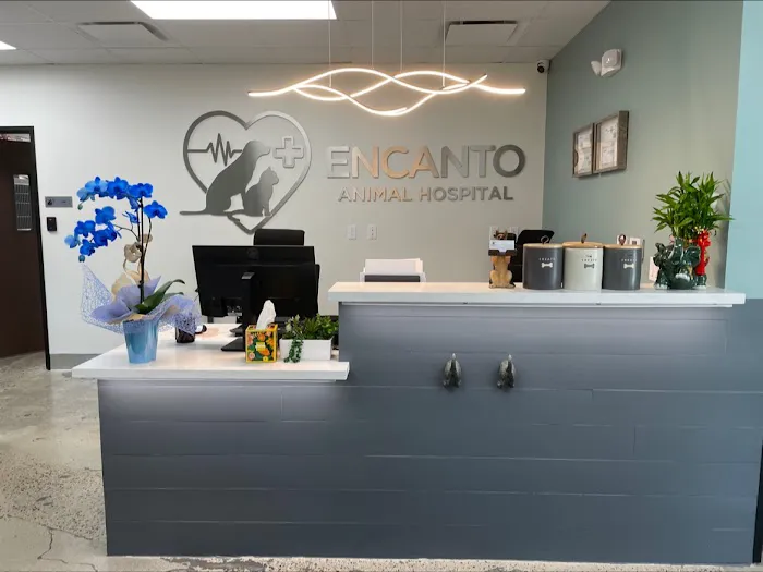 Encanto Animal Hospital Picture 10
