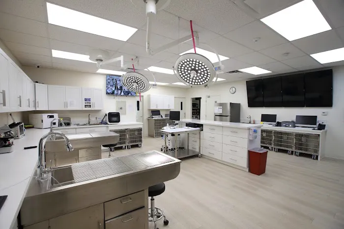 Grace Animal Hospital | Downey Picture 3