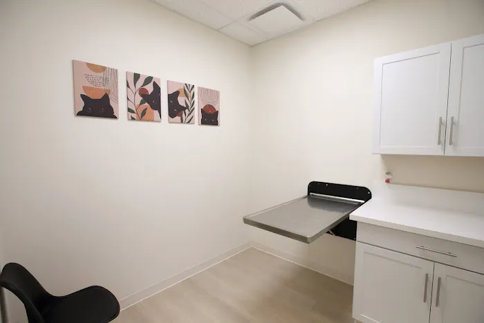 Grace Animal Hospital | Downey Picture 7