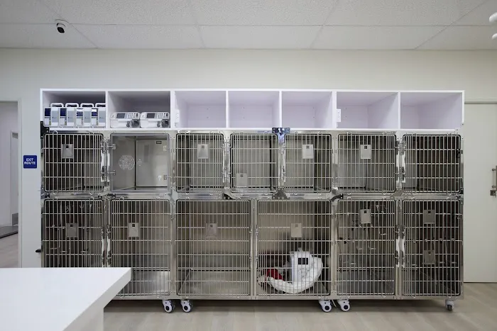 Grace Animal Hospital | Downey Picture 8