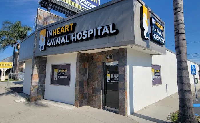 Inheart Animal Hospital Veterinarian | 한인 동물병원 Picture 8