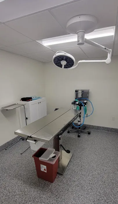 Inheart Animal Hospital Veterinarian | 한인 동물병원 Picture 10