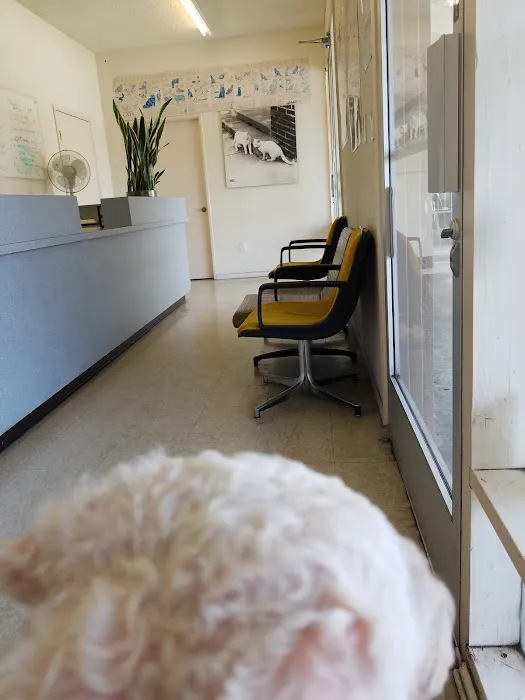 Rose Slauson Animal Hospital Picture 3
