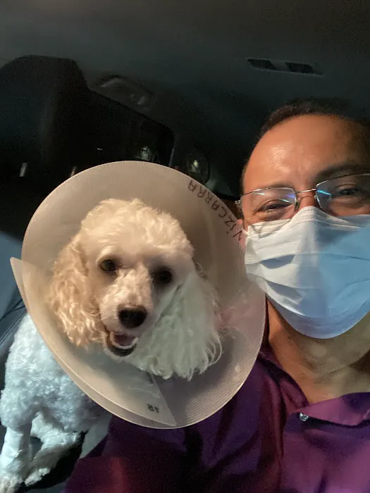 City Line Pet Clinic Picture 8