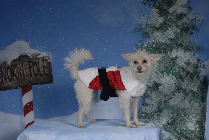 Pico Rivera Animal Hospital Picture 2
