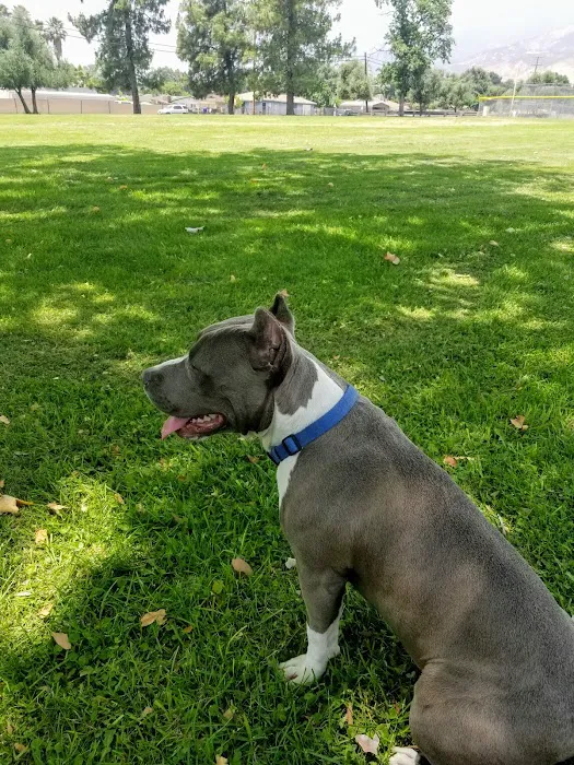 Pico Rivera Animal Hospital Picture 8