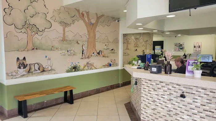 Pico Rivera Animal Hospital Picture 7