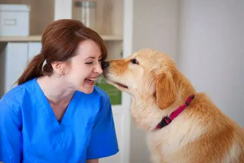 Ashton Animal Hospital Picture 7