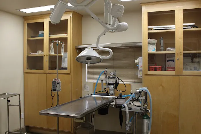 Ashton Animal Hospital Picture 3