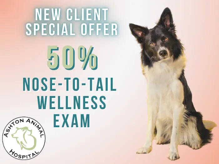 Ashton Animal Hospital Picture 10