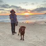 Above & Beyond Pet Care Clinic