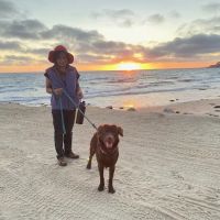 Above & Beyond Pet Care Clinic ico