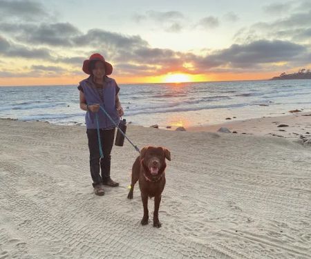 Above & Beyond Pet Care Clinic