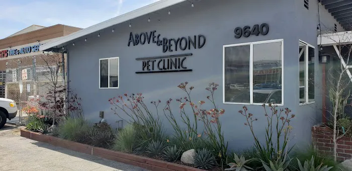 Above & Beyond Pet Care Clinic Picture 7