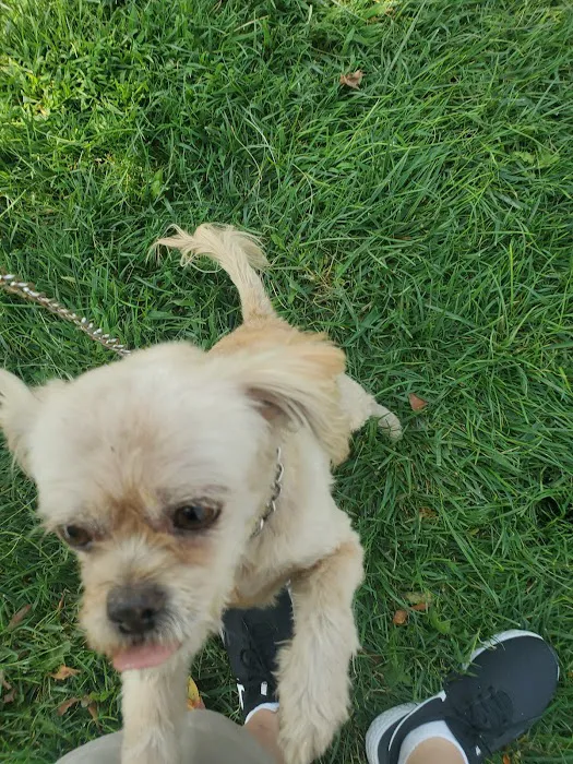 Above & Beyond Pet Care Clinic Picture 8