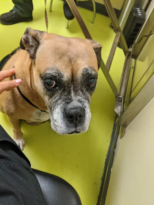 Animal Care Clinic Picture 1