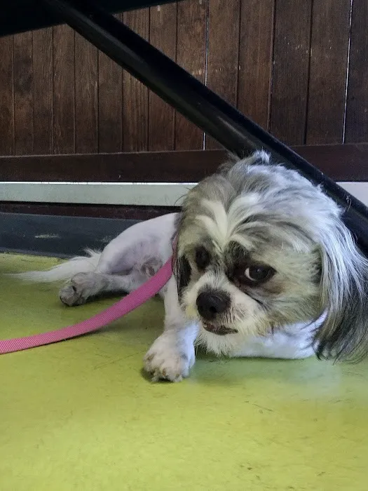 Animal Care Clinic Picture 2