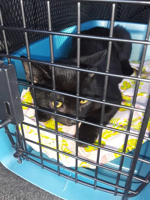 Animal Care Clinic Picture 6