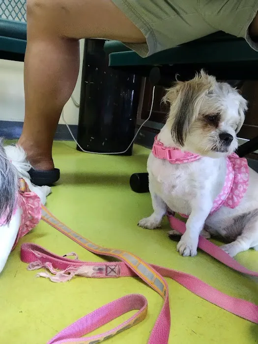 Animal Care Clinic Picture 5