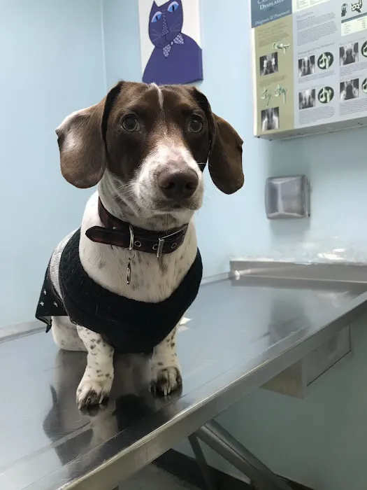 Animal Care Clinic Picture 8
